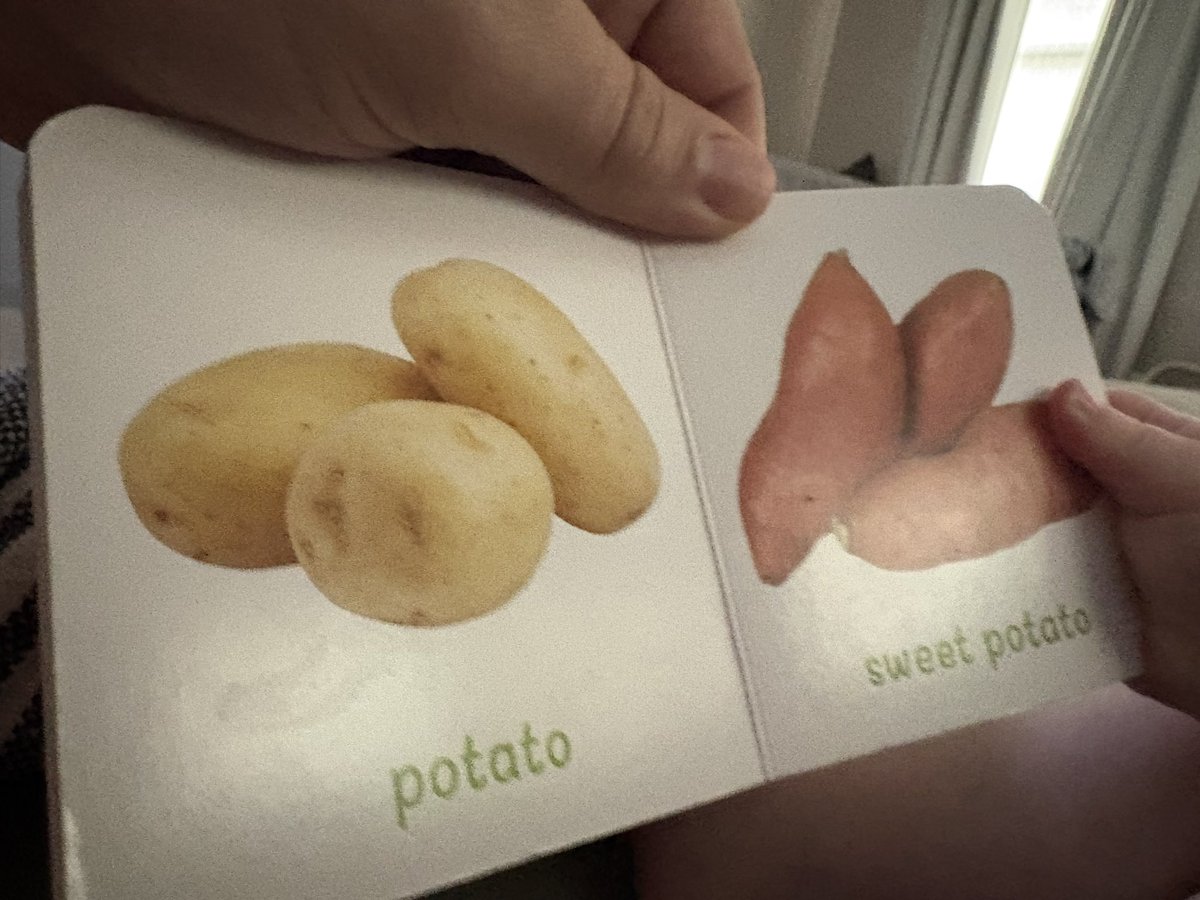 ConorShack's tweet photo. teaching lil bro his veggies and every time we get to this page he just laughs https://t.co/HfsxeSL33d