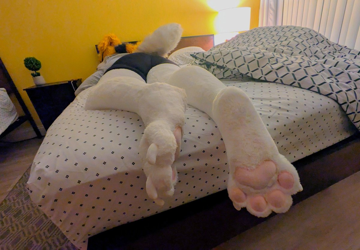 bagelmayweather's tweet photo. I did not know PAWGUST was a thing! Good thing I had something saved up just for the occasion... 😼 https://t.co/pObwYCfI4K