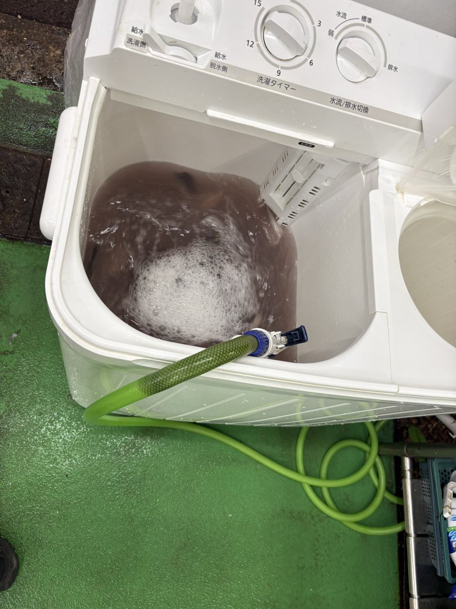 0rca910's tweet photo. 夜行バスだったから早朝に名古屋に着いて暇で、
柳橋中央市場に行ったら
魚を洗濯機で洗ってておもろい https://t.co/gTGPtQAKL1
