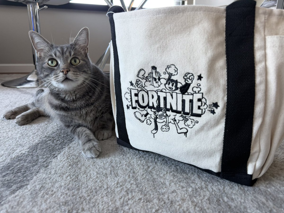 EpicTofuChris's tweet photo. Do you want the cat or the bag https://t.co/mCIaiOTdya