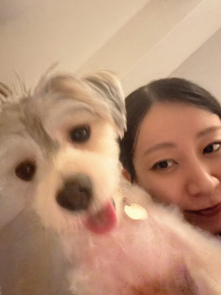 mrns__12's tweet photo. 【8月の生存報告】
とっても いぬのす と いっしょ https://t.co/lF8iAzGTOY