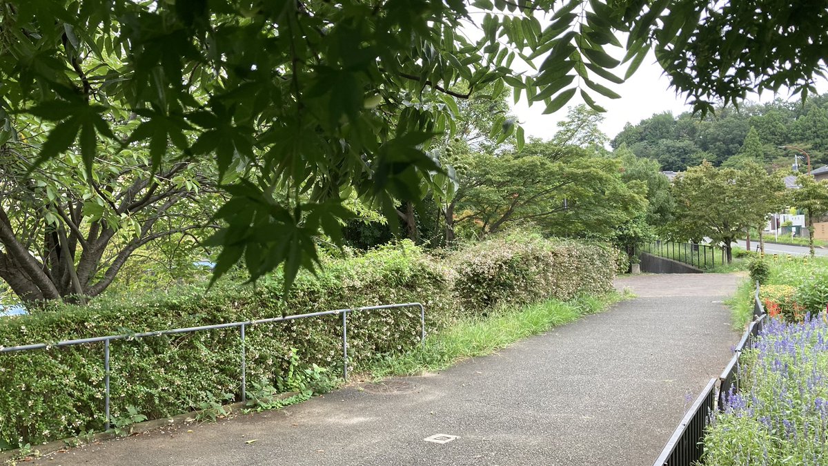 pfllllfq's tweet photo. #広袴公園
#真光寺川
#鶴見川
#cycling
cf24×333+4 https://t.co/m6n8IHxtUt