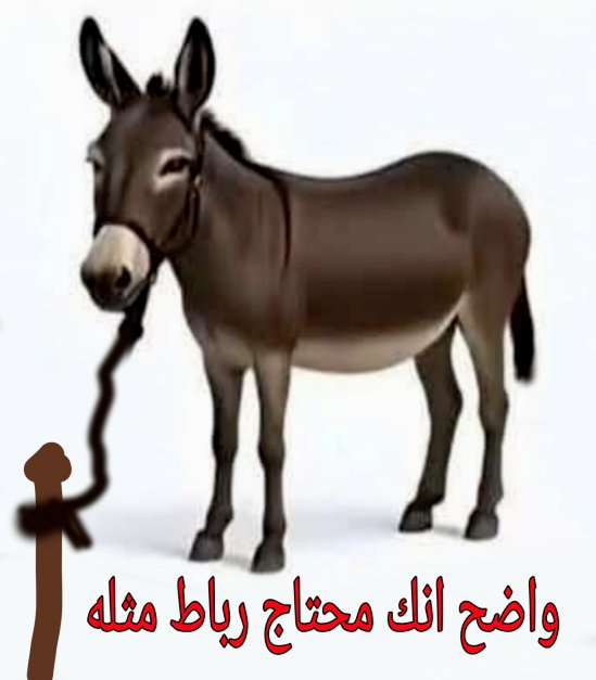 asma71275's tweet photo. @TanasuhTV https://t.co/xs1DQTBUri