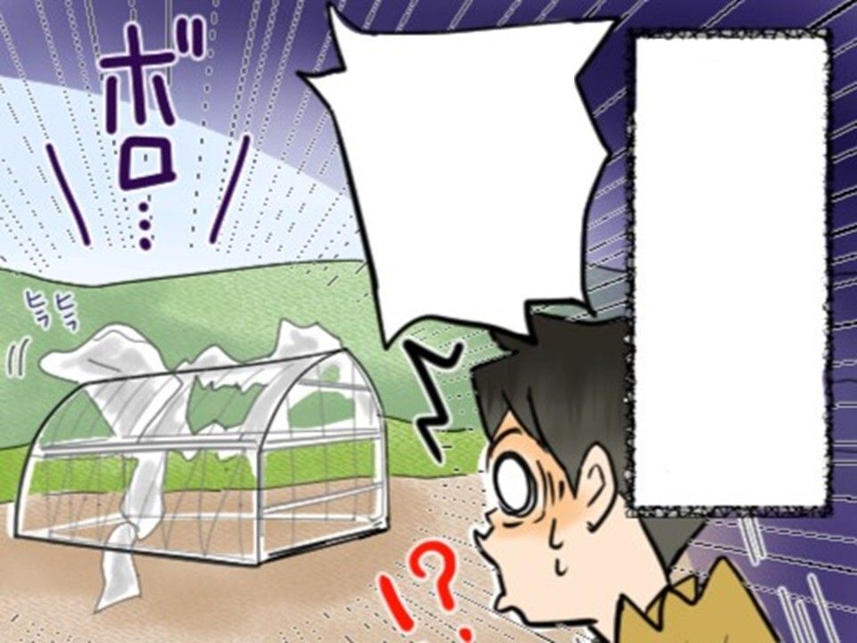agri_mynavi's tweet photo. ■連載更新【マンガ】#やりなおし農家はじめ君
《第49話》天気を甘く見た代償
https://t.co/tkXFjB9NG0 

手間暇をかけて台風対策を講じたものの、結果的に何事もなかった―。
タイムスリップ前の記憶から楽観的になり、今回はハウスをそのままにして台風をやり過ごすことにしたはじめ。
その判断は吉と出るか、凶と出るか…。