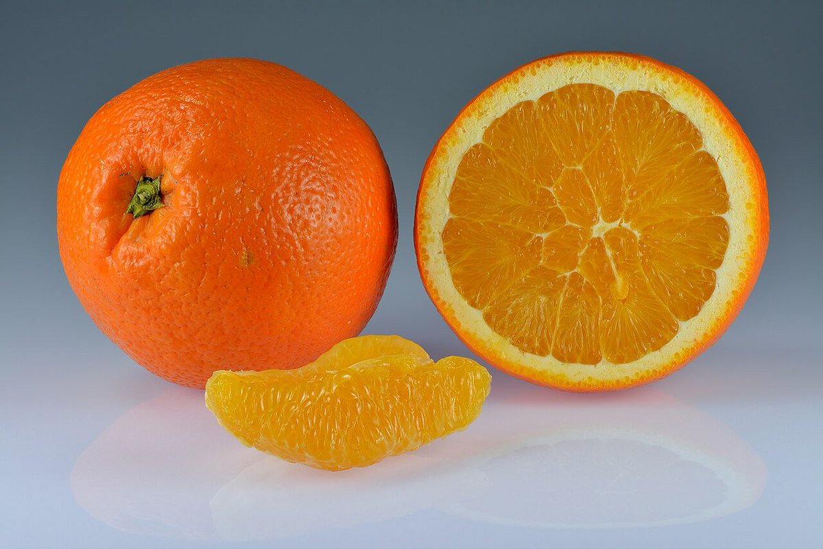 quagz_uwu's tweet photo. Holy Moly guys..... They just leaked the next #Minecraft update to me ๐ฑ๐ฑ They're adding Oranges.... This will be an absolute game changer. #oranges #BunnyModeActivated What else do you hope to see in the #OrangeUpdate? https://t.co/4ng75FzfVf