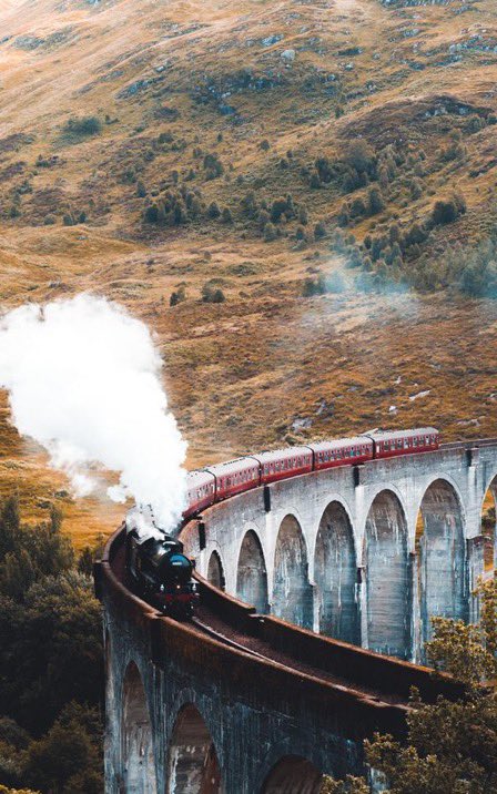 _milleguai's tweet photo. have a good trip home❤️‍🩹
 #backtohogwarts https://t.co/19Tg7LJF7l