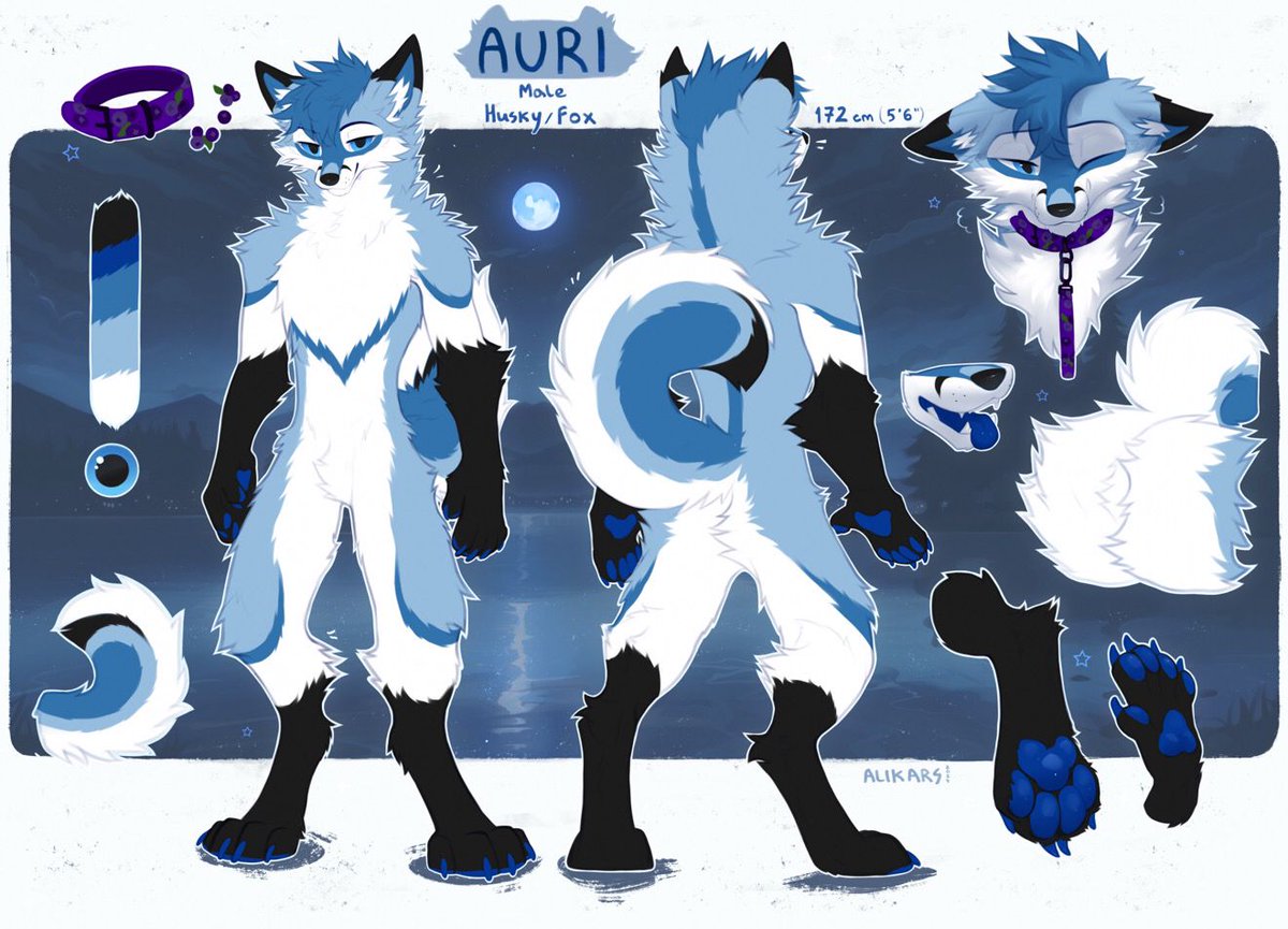 Zarethiaae's tweet photo. Soft, icy, and ready for adventure. ❄️ Here is the official ref sheet for Auri, the Husky/Fox! Loving the cool blue shades and fluffy tail details.

#fursonaref #furryart #huskyfox #folkyart #bluefursona #furrycommunity #characterdesign #digitalillustration https://t.co/kMrtrpoMum