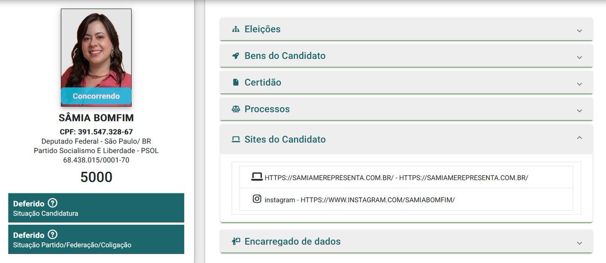 Amandavettorazz's tweet photo. E isso aqui, Sâmia? Por qual motivo o seu perfil no X não está listado no seu registro de candidatura? 

Que engraçado… 🤔 https://t.co/7CVFZ8pAdn