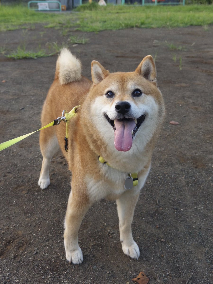 sskazak's tweet photo. https://t.co/UAv32Q563C