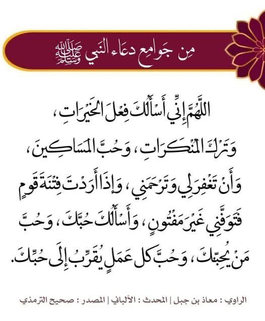 Rreem1369's tweet photo. #لا_حض https://t.co/W7L0FyN4Qz