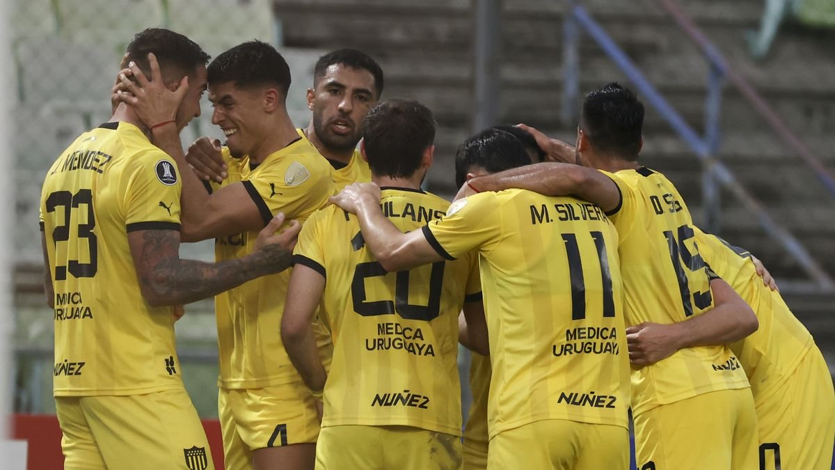 Mirfo6's tweet photo. Siempre pienso
Que pedazo de jugador que es
Guzman Rodríguez

Jugaba solo atrás y @OficialCAP ganó el Uruguayo de punta a punta y metimos semi de Libertadores
Casi no nos hacían goles 

Y cuando digo que jugaba solo
Era solo
(Olivera - Méndez - Milans) https://t.co/BG6XOKYMdp