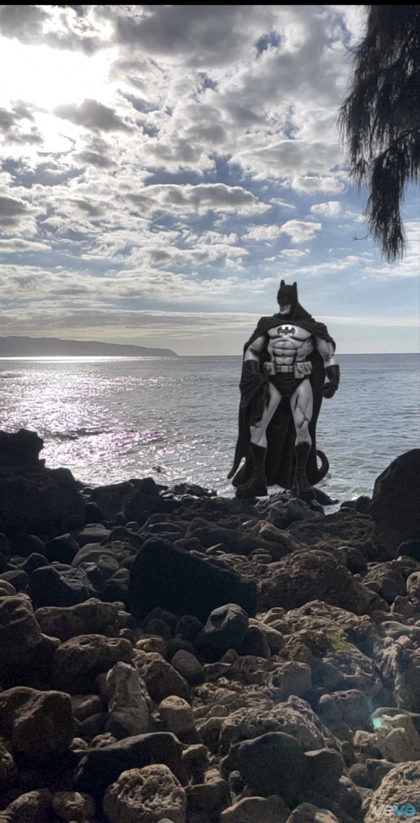 VeveMaster's tweet photo. #Risso #Batman #veve
@veve_official @ecomi_ https://t.co/iiumxFuyOc