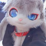 Photo by INA (@4Bfox)
