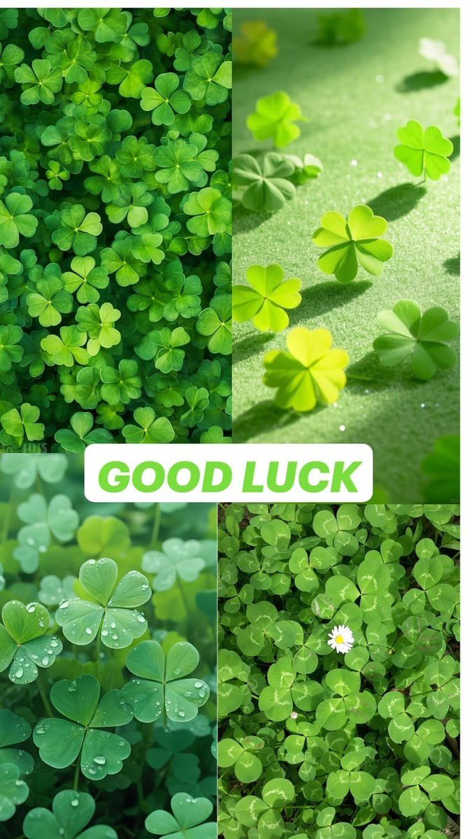 norimi1102's tweet photo. 🍀☘️🍀幸せのclover🍀☘️🍀☘️🍀GOOD    LUCK🍀☘️🍀ෆ❛ั◡❛ัෆ✩⃛*⁎ https://t.co/2KzuRGbg0H
