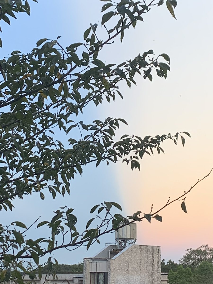 pshitap's tweet photo. こういう事象はよくあるんですかね https://t.co/Hj5dC7Awpg