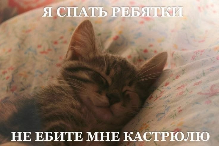 etteerrr's tweet photo. я сука весь день хотела спать... вставать через 4 часа а сон в пизде где-то https://t.co/WzrNMooR0t
