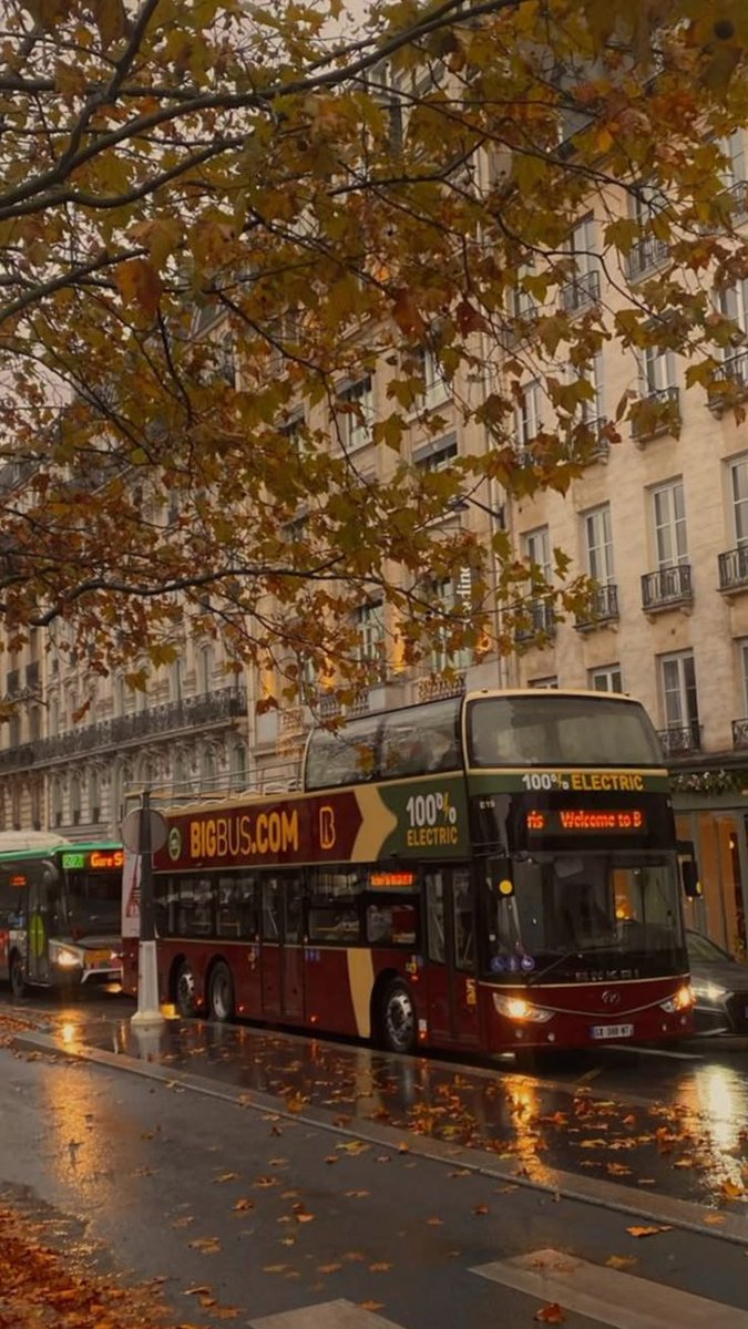 purelivn's tweet photo. autumn is here 🍂 https://t.co/C8JrVE1DeE