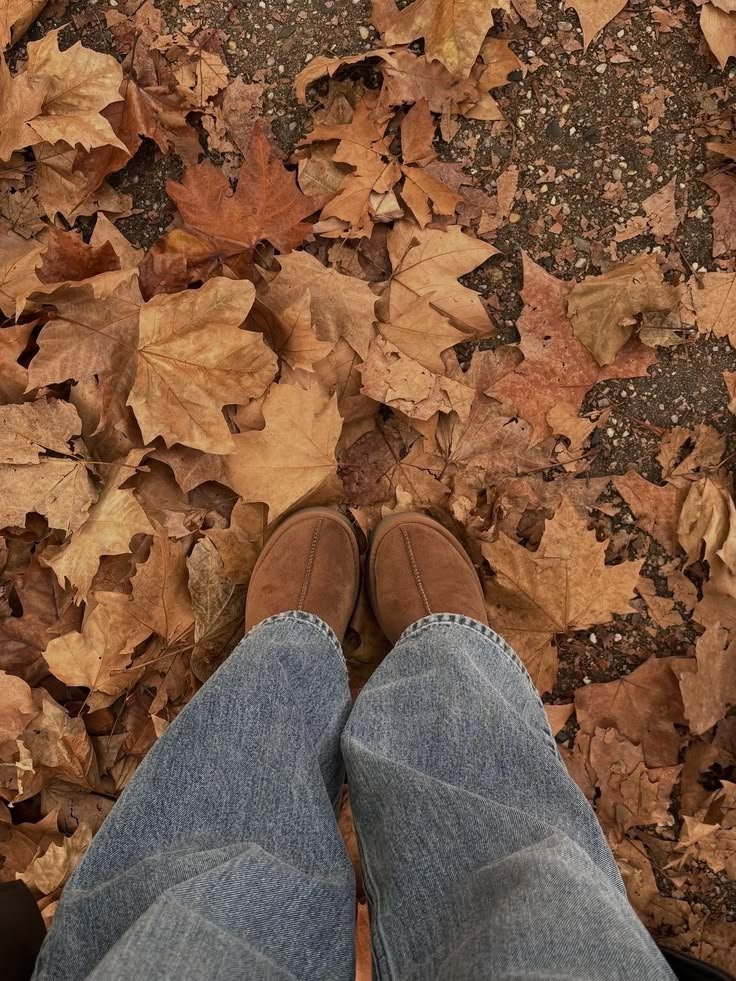 purelivn's tweet photo. autumn is here 🍂 https://t.co/C8JrVE1DeE