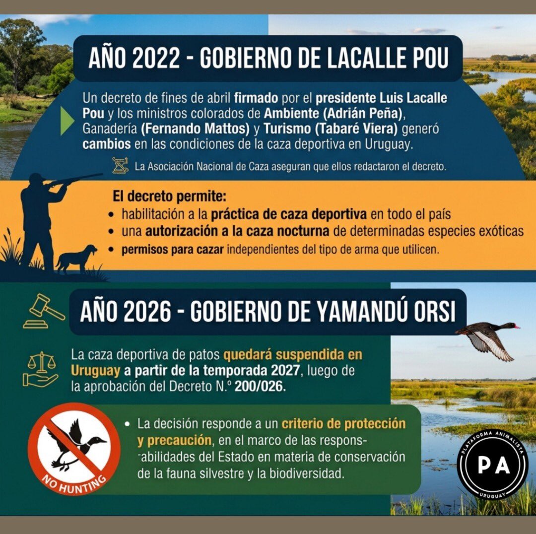 PA_Uruguay's tweet photo. El gobierno firmó un decreto que suspende formalmente la caza deportiva de patos en todo el territorio uruguayo a partir de la temporada 2027. 

Una medida clave y basada en evidencia técnica que pone un freno definitivo a la extracción de especies vulnerables. https://t.co/hNdAkPozuw