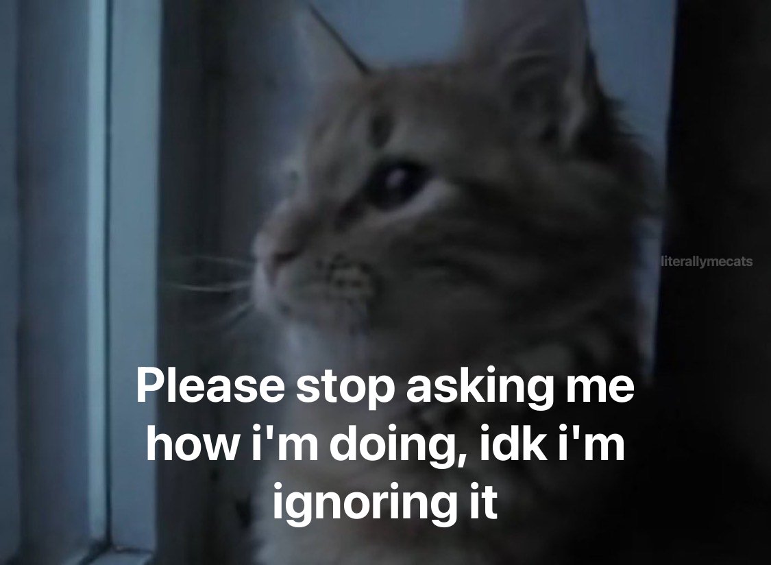 literallymecats's tweet photo. https://t.co/Zt7n3vwsMC