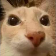 Franx_xp's tweet photo. @locochoncin Yapea 30 p loco https://t.co/wTi7LzszYp