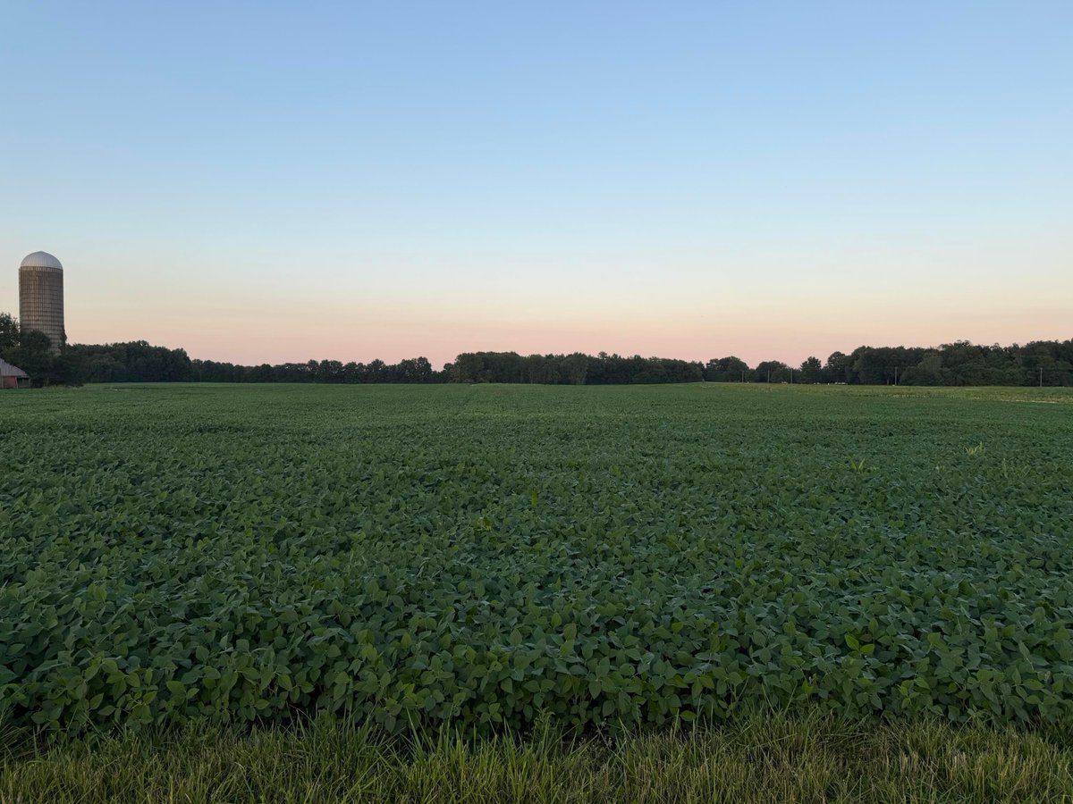 RZRealtyua's tweet photo. 🌳 Dreaming of wide-open spaces? This **5-acre gem** in Marysville, OH, awaits your vision! 🏡✨ Enjoy peaceful evenings &amp; prime location in the **Marysville School District**. Ready to make it yours? 👉 https://t.co/GAtx3MUZko 

Peter P Stevens
614-679-9278
osubucs@osubucs.com https://t.co/pe4tokgyxF