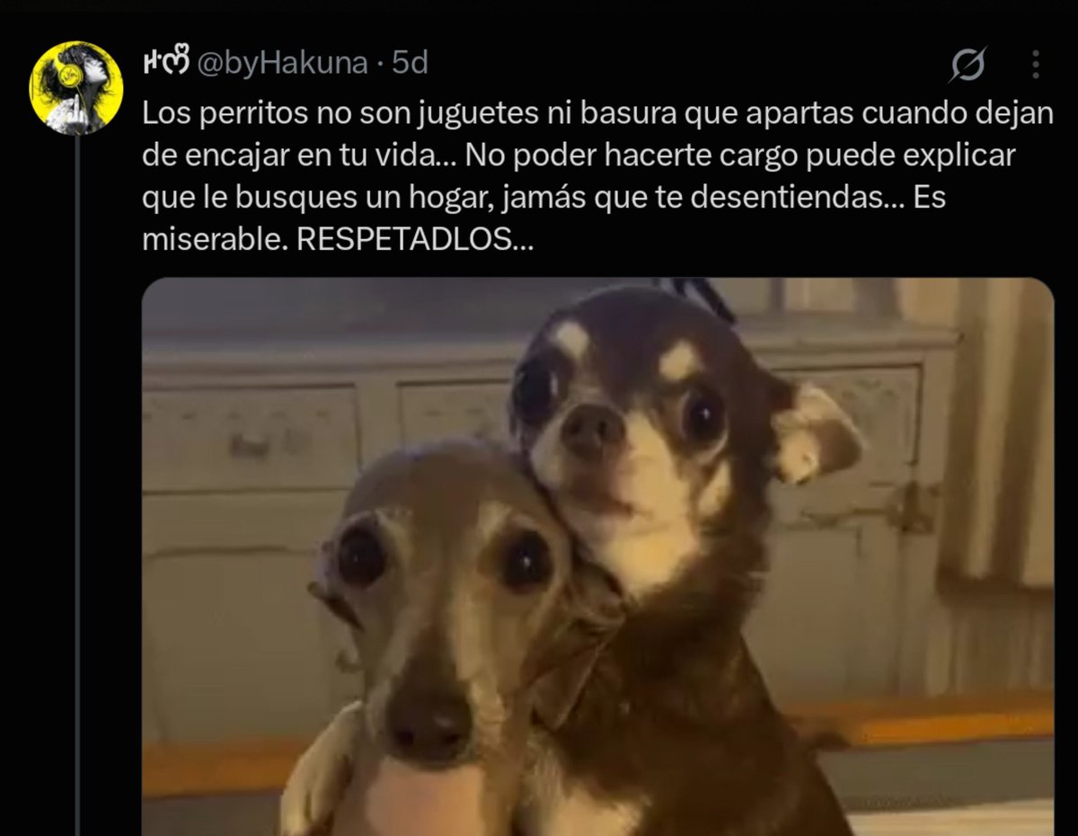 aq_nory's tweet photo. Entonces esa cortina de humo que estás haciendo para desviar el tema del perro 🐕?
#adaragate https://t.co/780965yyUA