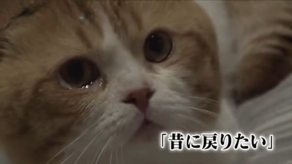 misuzuP_Y's tweet photo. 夏休み終わって今これ https://t.co/eYFMPp61Fk