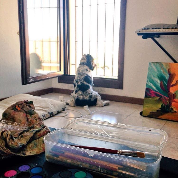 MarveLupa's tweet photo. 11年前の写真なんだけど3���にあった私の部屋の窓から外を眺める姿が可愛かったな。基本私と一緒に寝てたので、私が部屋で作業してると近くにずっと一緒にいた。 https://t.co/qOo45dKIu6