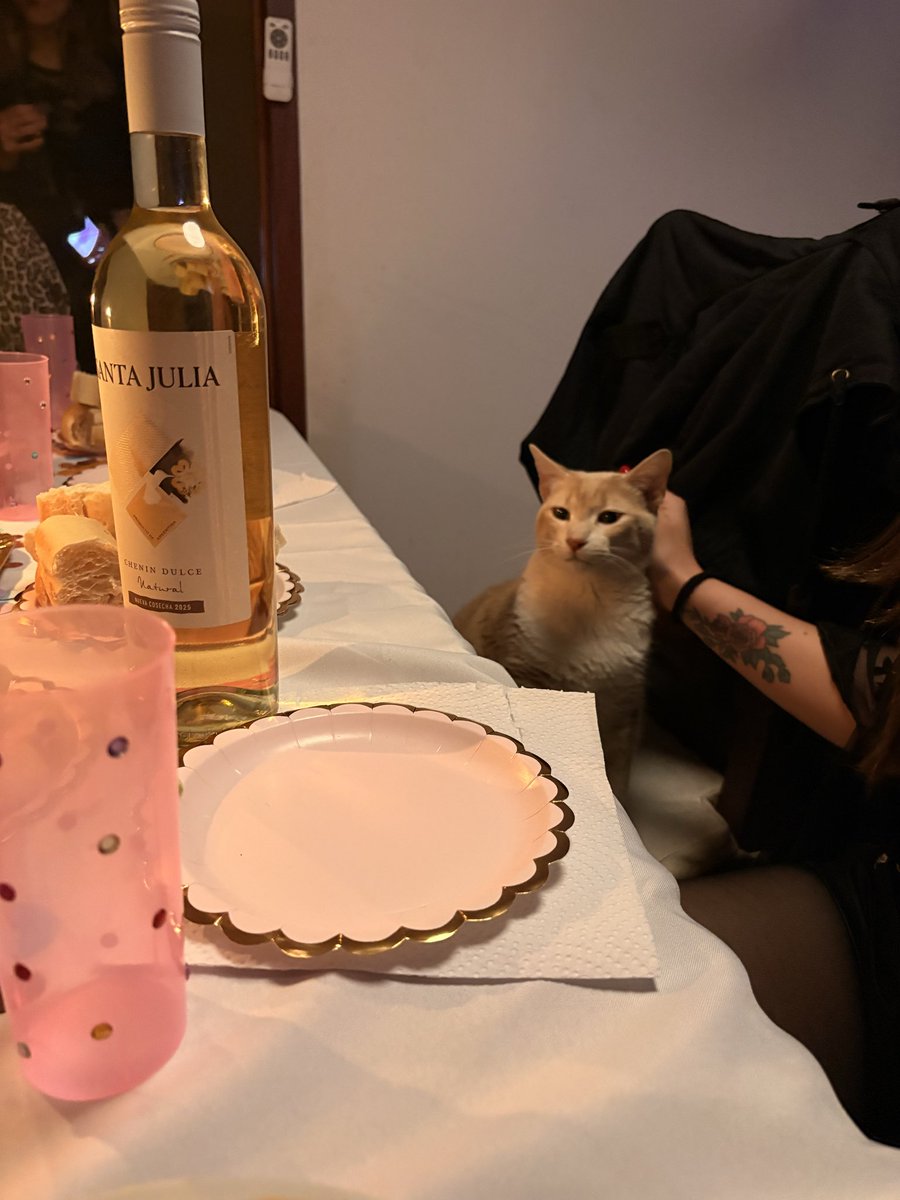 _cataem's tweet photo. el sabado fue mi cumpleaños y mi gato estaba chocho. el nacio para estar entre mujeres y vino https://t.co/nYgCqWxtyw