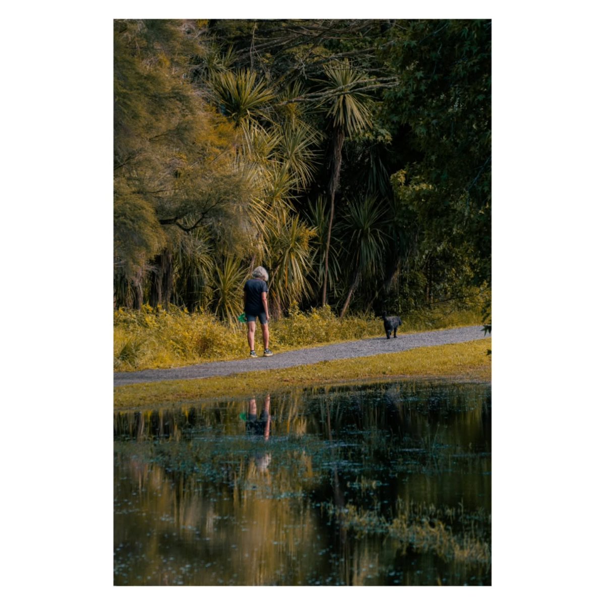 CharlottMoby's tweet photo. Moments from the park. https://t.co/z6WGjyFnPb