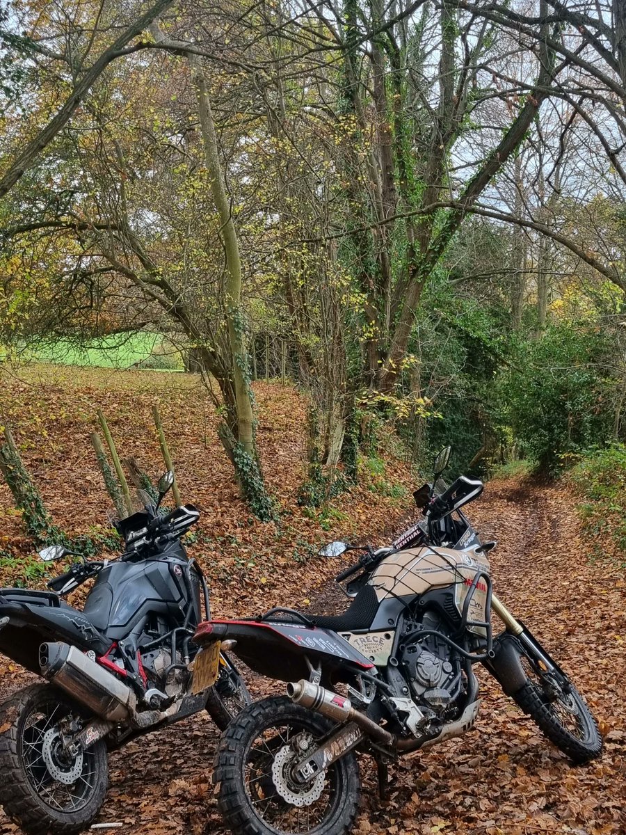MatildeKluylk's tweet photo. Tried a bit of green laning this morning—great fun! https://t.co/lhIYGxyN8J