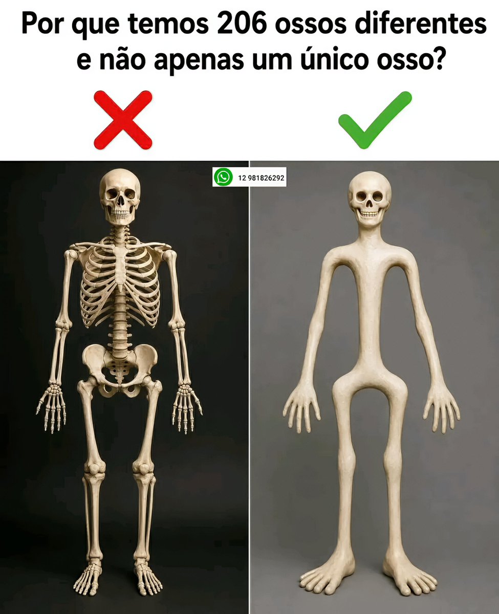 alezcofficial's tweet photo. Seria mais fácil confia 
.
#memes #memesbr #memesbrasil #memesengracados #anime #animebr #brmemes #brasilmemes #meme #icons#memes #memesbr #memesbrasil #memesengracados #anime #animebr #brmemes #brasilmemes #meme #icons https://t.co/0oNeq7iCj1