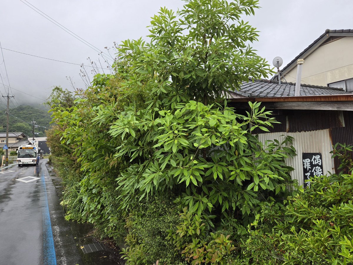K10_01K's tweet photo. @christsignbot キリスト看板（京都府舞鶴市和田） https://t.co/ip7xSIKMQx