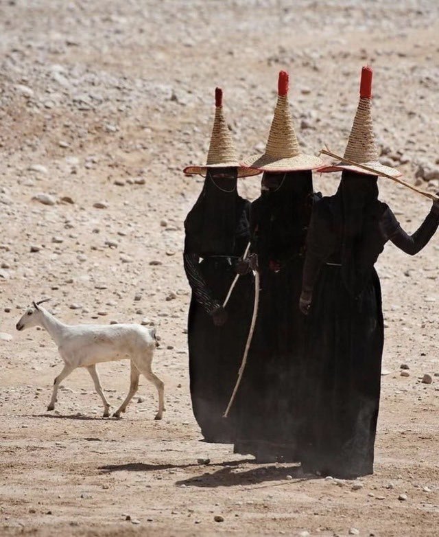 aseelswaid9's tweet photo. Female goat farmers in Hadhramaut - Yemen https://t.co/KZWWaA5mQX