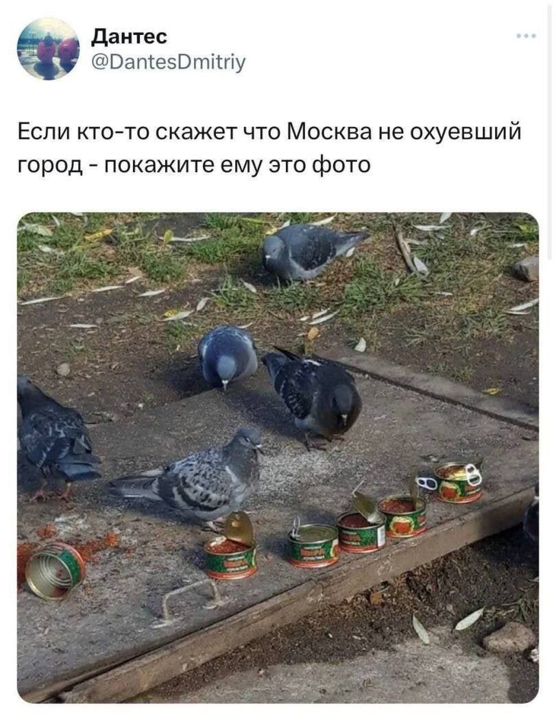 crumbtax's tweet photo. If someone tells you Moscow isn’t a fucked-up city, show them this photo. @durov https://t.co/0xTtYyjy2A