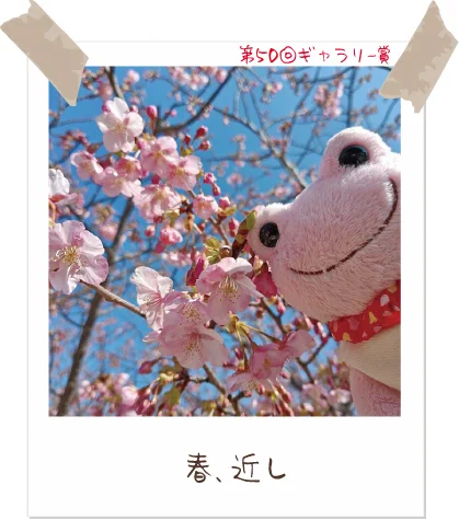 かえるのピクルス/pickles the frog (@picklesthefrog6) / X
