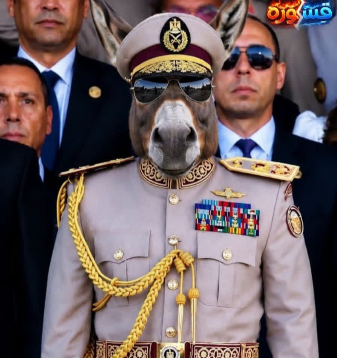 OIIOxcx's tweet photo. @startricky طز فيك وفي محمود فتحي😂😂

ڻہق كمان وكمان يپسڪلته يڻسـ ـل الــژواڻـ ـي😂😂
ْ https://t.co/iCa8gvGRyj