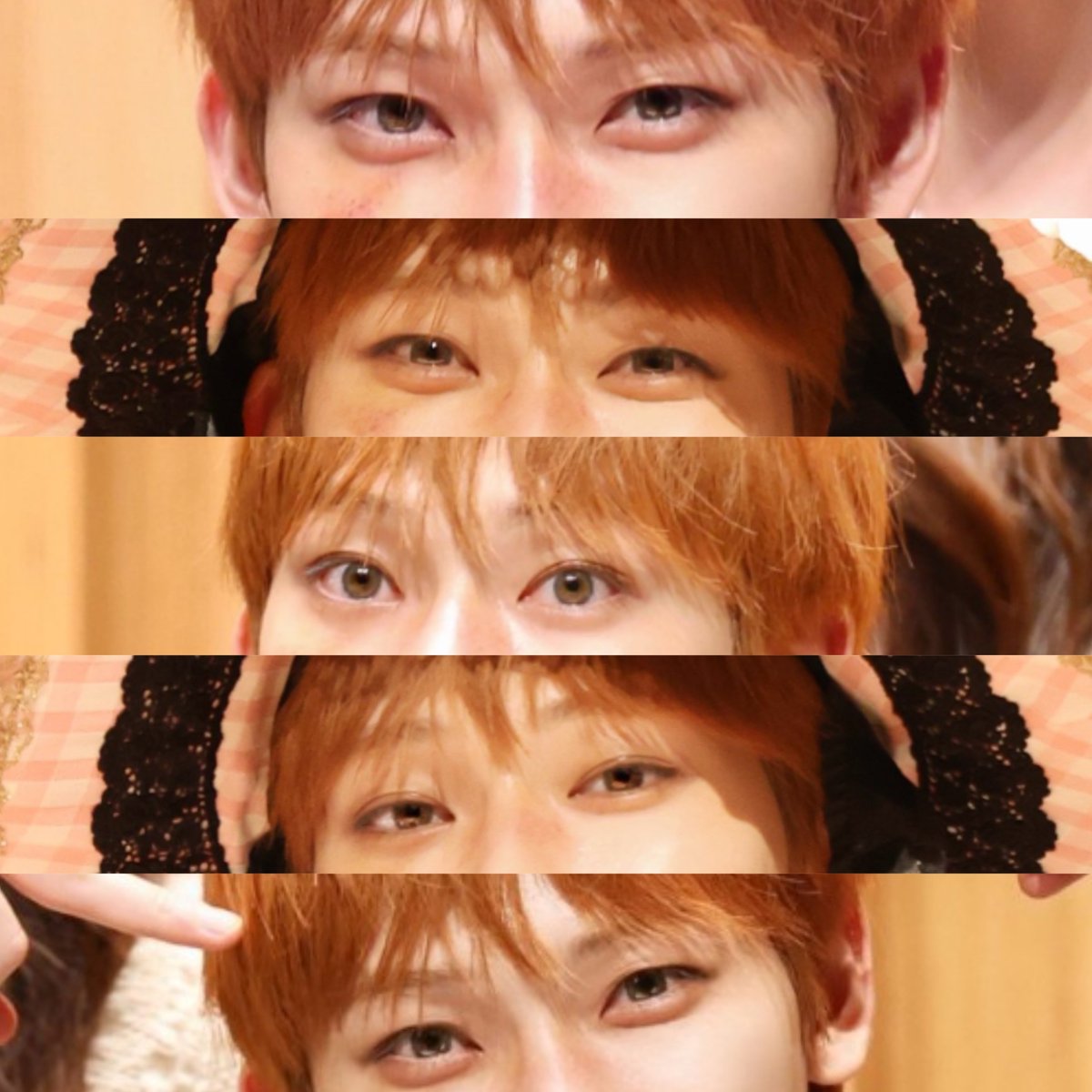 6isfate's tweet photo. prettiest sparkly fox eyes https://t.co/ASWLp8wSZ5