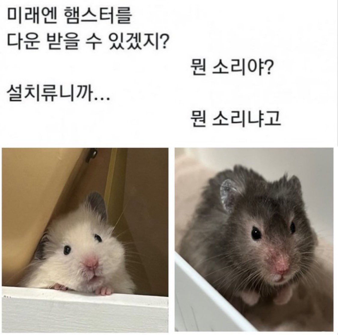 mymemeboxx's tweet photo. https://t.co/UeTalUAUj3