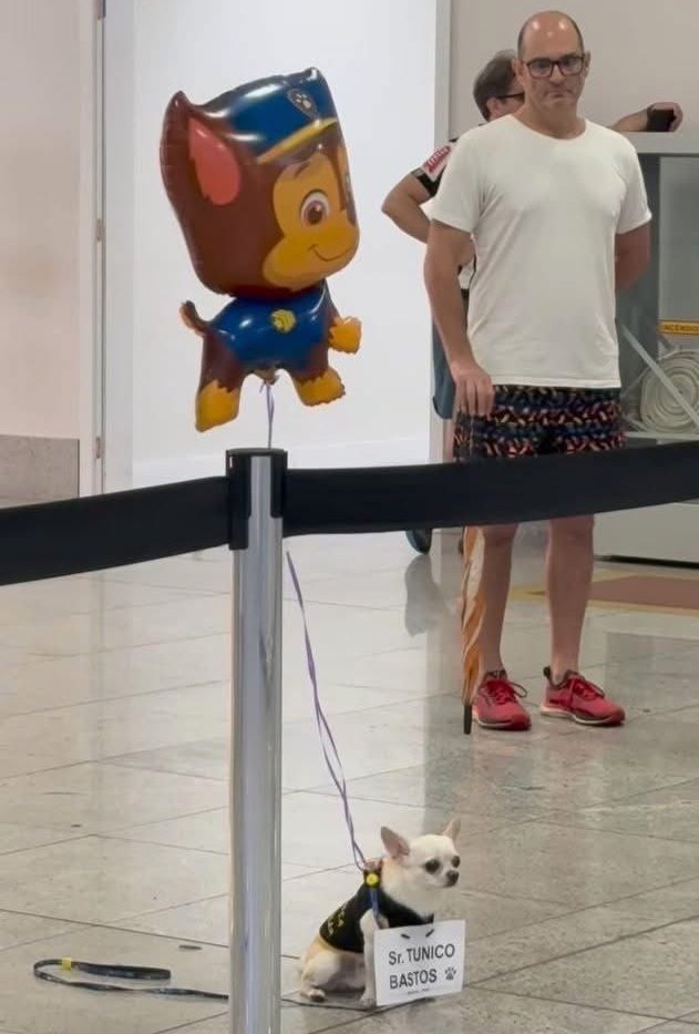 Animalesaprieto's tweet photo. Imagínate llegar de un viaje y te reciban de esta manera. https://t.co/nThNYqMWK7