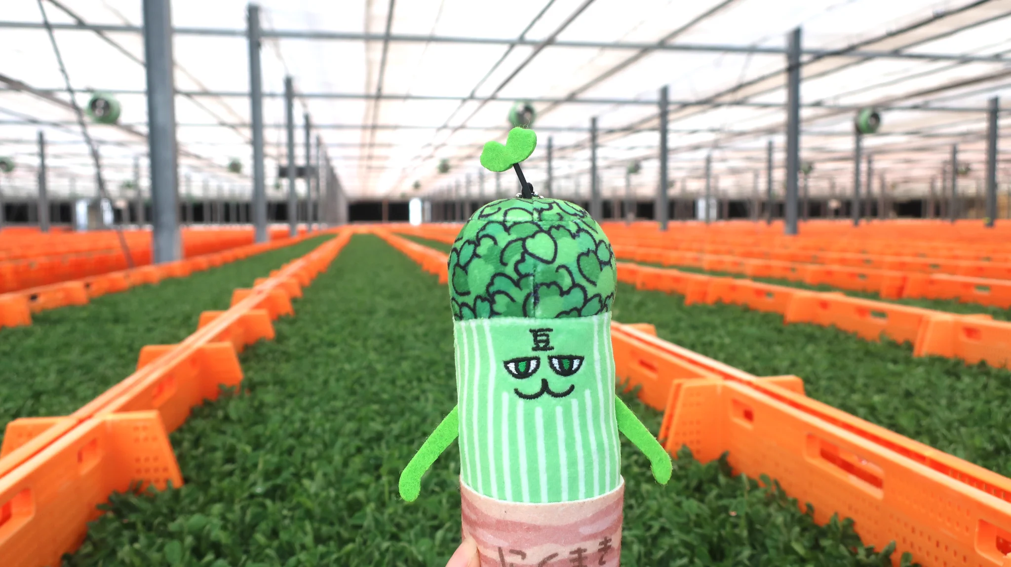 村上農園【公式】🌱 (@murakamifarm) / X