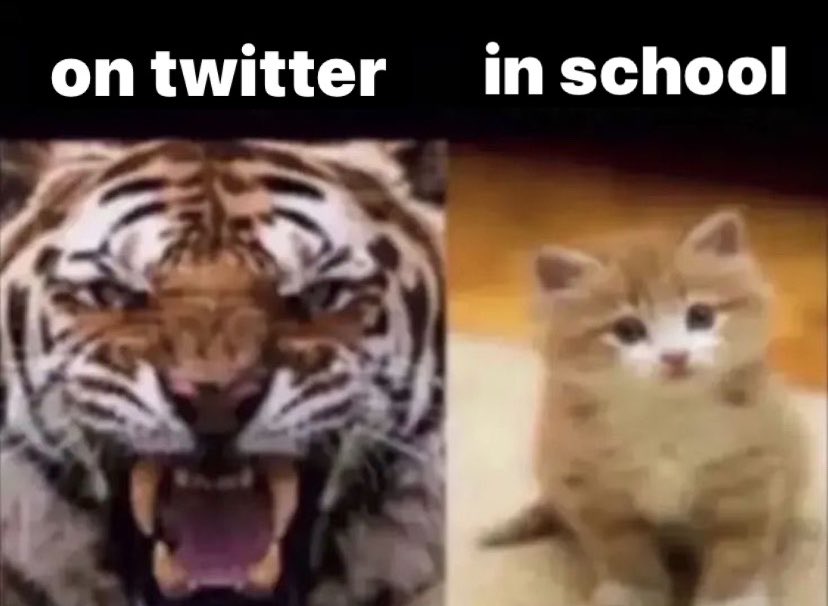 fineekat's tweet photo. esto es real https://t.co/eE27RAJ9ru