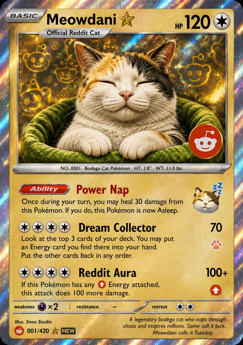 MeowdaniRH's tweet photo. the rarest pull 🐈 https://t.co/aAYc4Nj8gS
