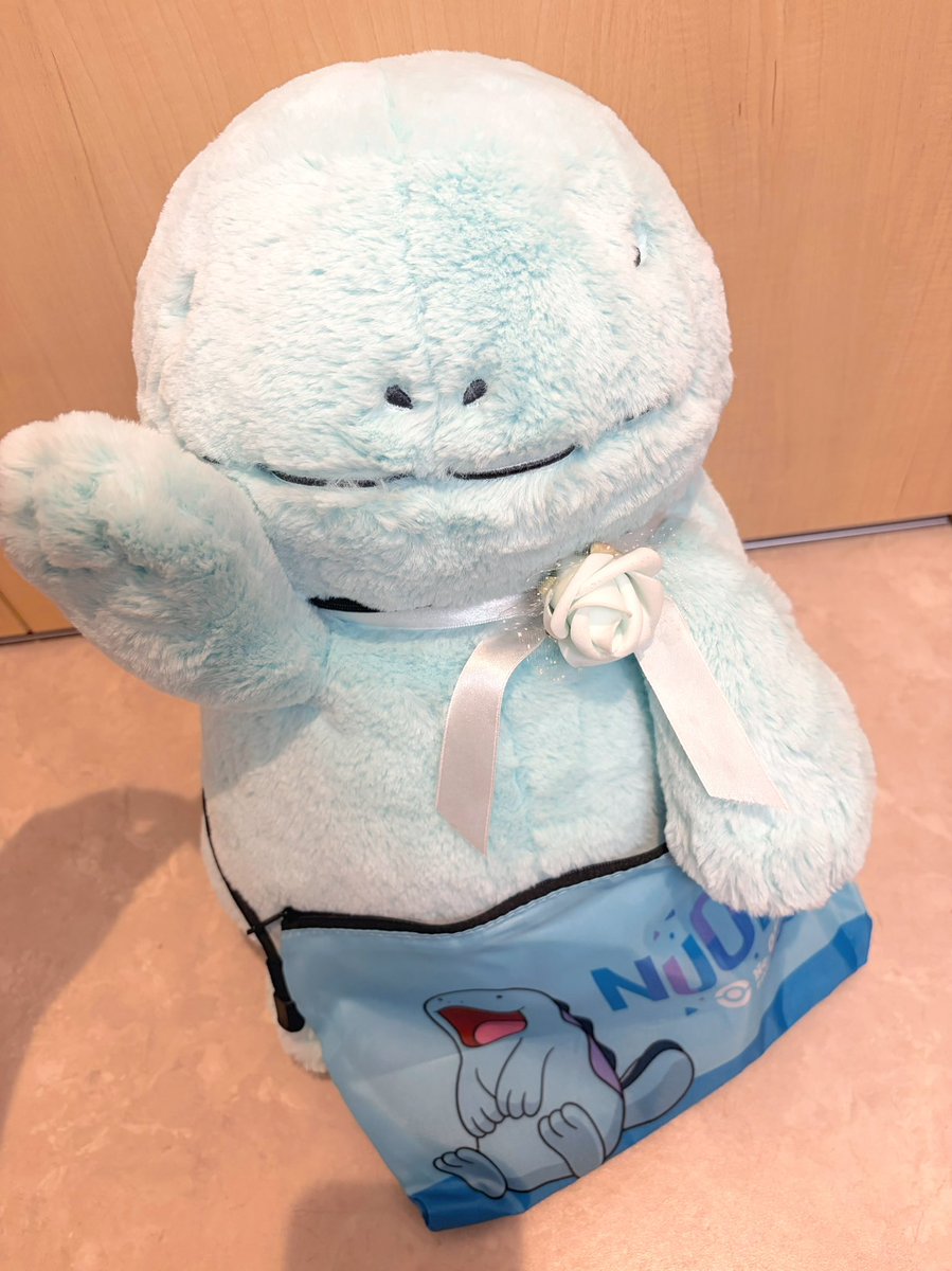 cuddlytoy1214's tweet photo. ありがとうだぬ(˙𐃷˙)
ふーにはちょっと大きかったぬ🫢 https://t.co/ssXo3DeLRL