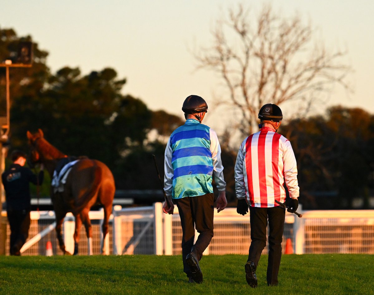 Vinnycenzo_71's tweet photo. First Day of Spring 🐎
Jamie Melham riding Natural Fling, Harry Coffey, Mark Zahra riding Giga Kick amongst the Gr1 Moir Stakes gallops at Sandown. https://t.co/JxET7ma23T