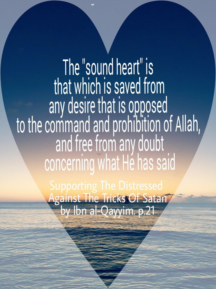 _ummabdillaah's tweet photo. The sound heart. 

https://t.co/Ht4grmDbI3 https://t.co/rsogWg9wLy