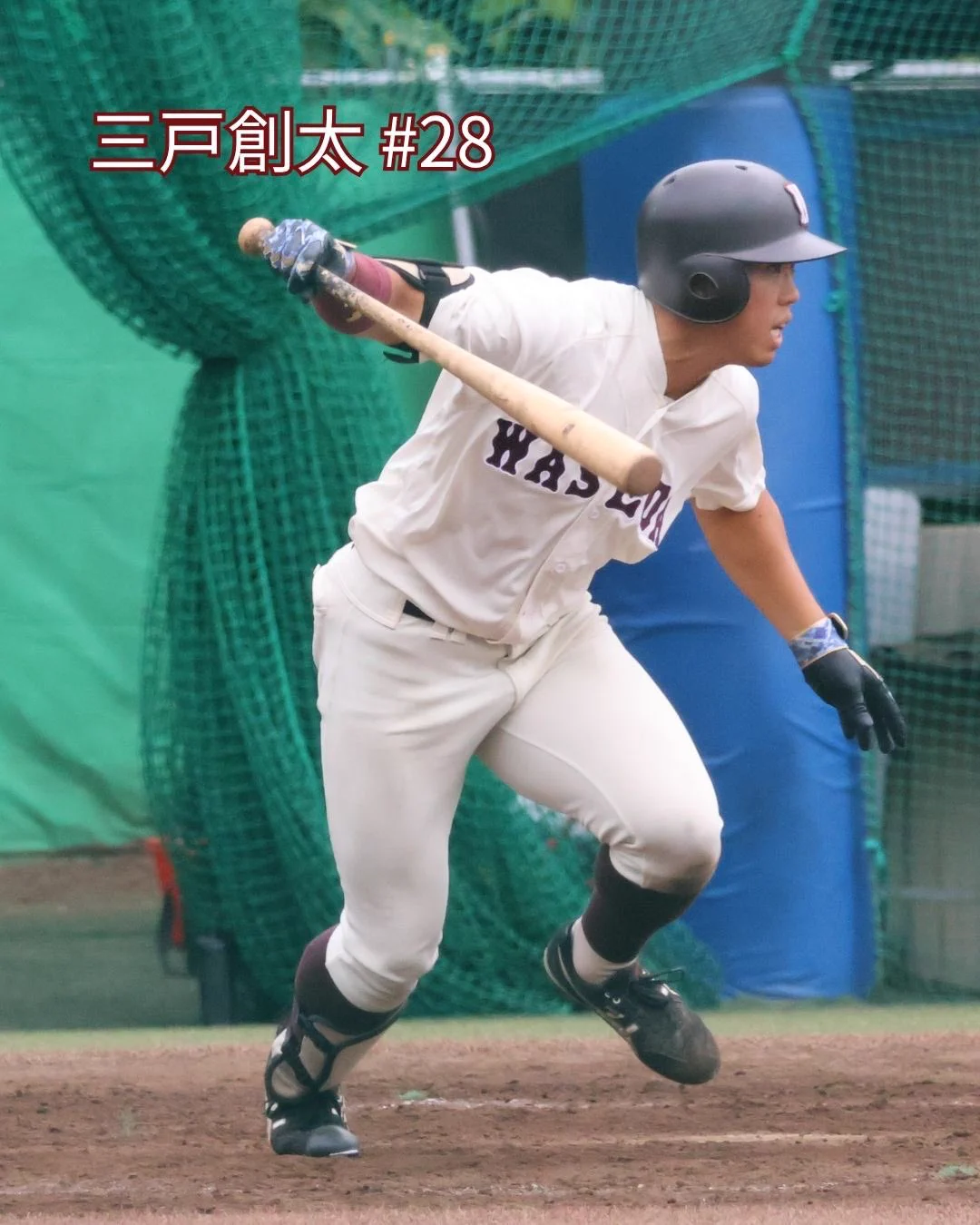 早稲田大学野球部 on X: 