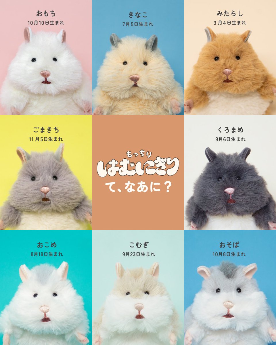 Hamunigiri's tweet photo. 『はむにぎり』ってなあに？ https://t.co/iYUM7NeGPR