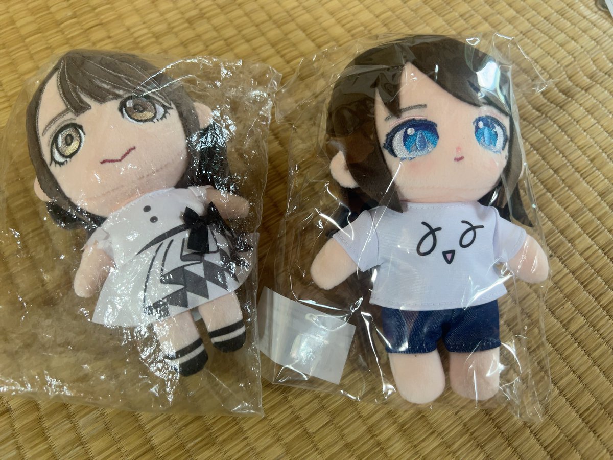 koala_peanuts's tweet photo. 自分宛で荷物来てて、なんやろうと思ったらいのりちゃんのグッズやった😆😆
自分的にはまだ先やと思ってた😅😅

ついに、すみぺといのりんが揃った😆😆😆
いのりん石川へようこそ☺️☺️ https://t.co/ujzZCLqafM